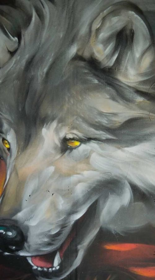 Mural Graffiti Lobos