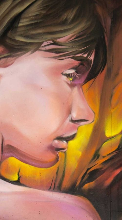 Mural Graffiti Lobos