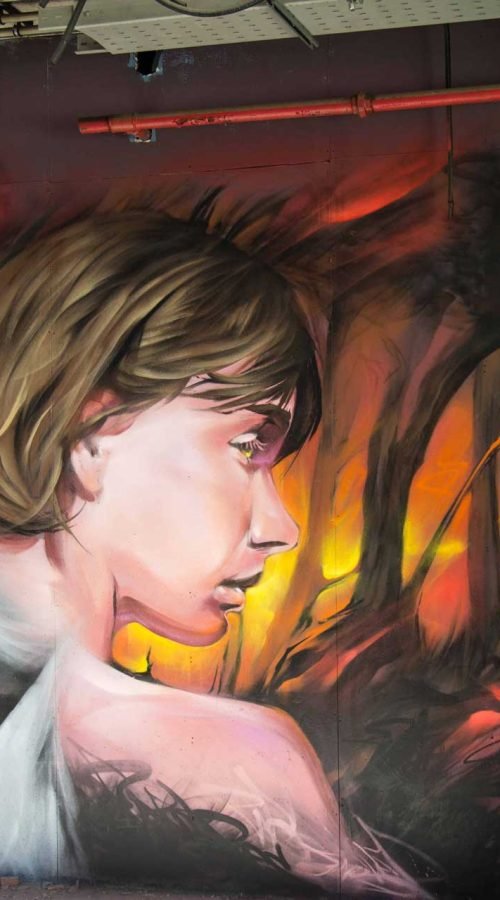 Mural Graffiti Lobos