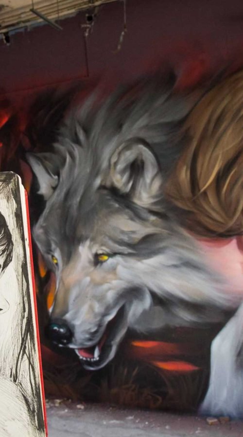 Mural Graffiti Lobos