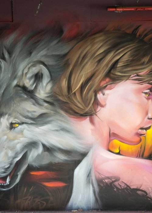 Mural Graffiti Lobos