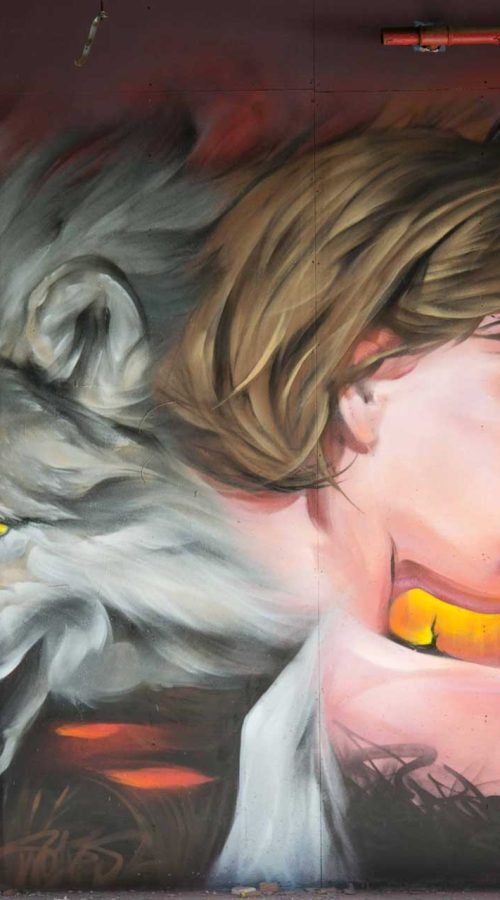 Mural Graffiti Lobos