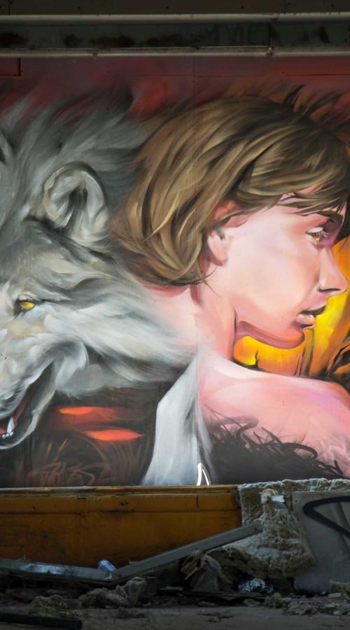 Mural Graffiti Lobos