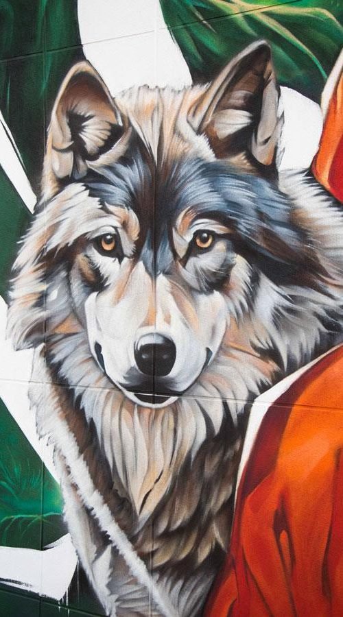Detalle realista de lobo en mural para colegios realizado por Asem Navarro en Madrid