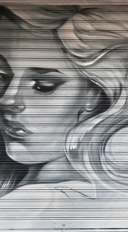 Resumen de graffitis artísticos en murales, cierres y fachadas de negocios variados