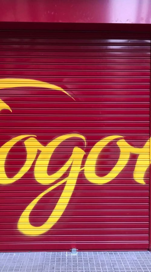 Resumen de graffitis artísticos en murales, cierres y fachadas de negocios variados