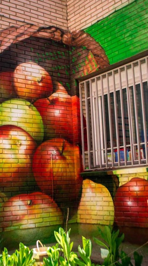 Resumen de graffitis artísticos en murales, cierres y fachadas de negocios variados