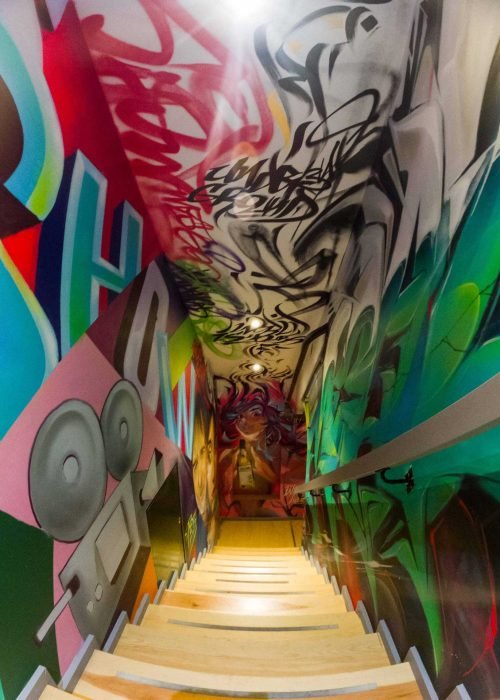 mural en techo para particular