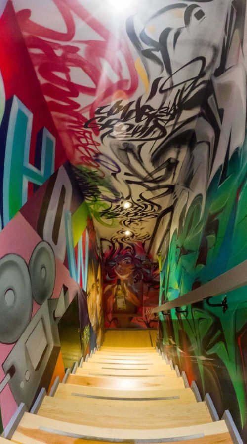 mural en techo para particular