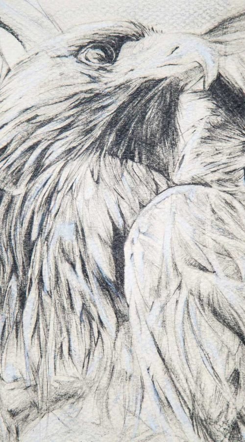 Ilustracio-n-personalizada-fantasia-aguila-buho-WildPoetry4