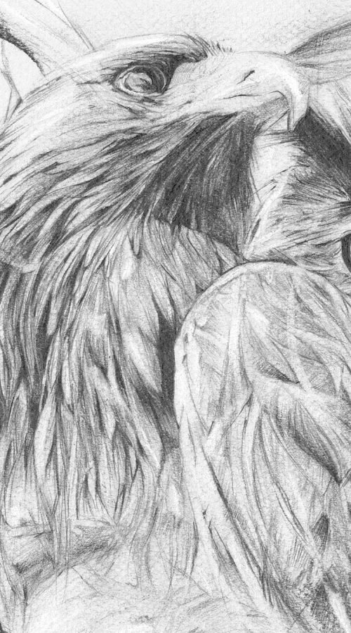 Diseño artístico que representa una poesía personalizada