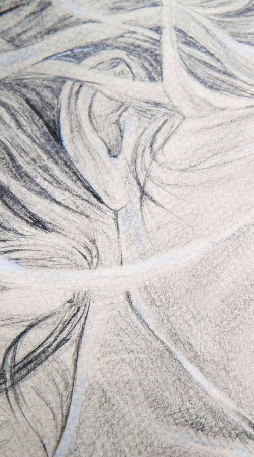 Ilustración personalizada inspirada en versos poéticos