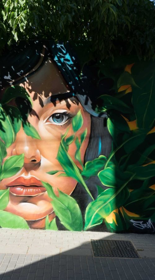 Mural Dualidad en Almazán, arte urbano para ayuntamiento