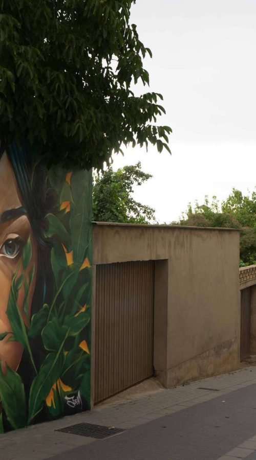 Mural Dualidad en Almazán, arte urbano para ayuntamiento