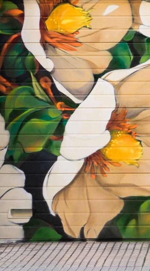 Detalle de flores blancas y naranjas en el mural de la princesa y la rana realizado en Salamanca