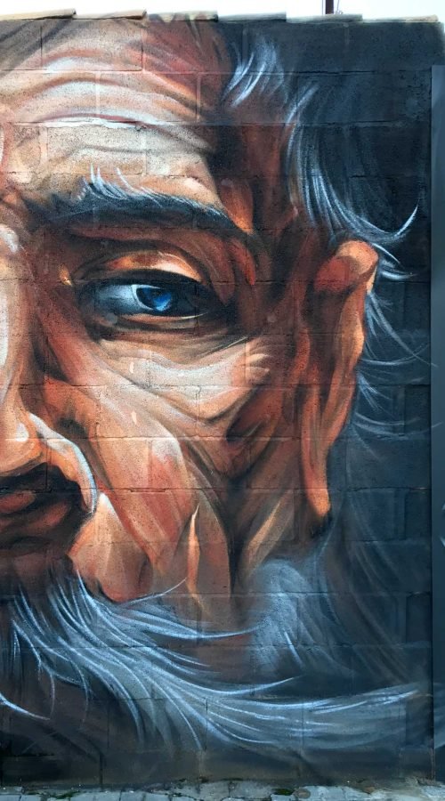 Graffiti de Don Quijote y aves en mural público en Villacañas, Toledo