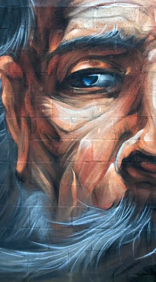 Graffiti de Don Quijote y aves en mural público en Villacañas, Toledo