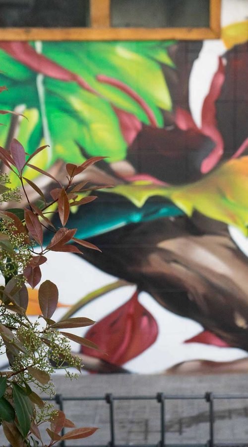 Mural con ramas y hojas en fachada de Farmacia Parque9, graffiti para imagen de salud