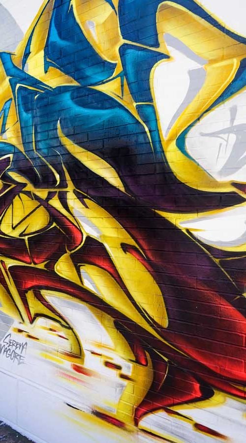 Mural de Snoop Dogg en el festival Hip Hop Street Vícar organizado por el Ayuntamiento