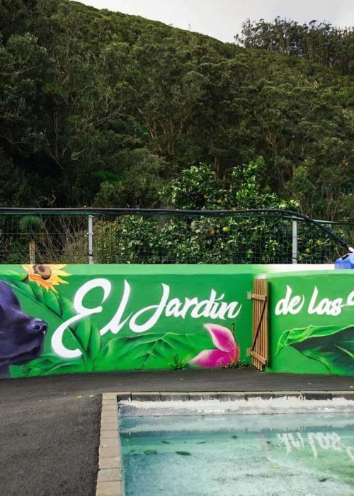 Graffiti con perro y vegetación en hotel de mascotas El Jardín de Tenerife