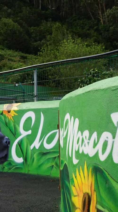 Mural corporativo con lettering El Jardín de las Mascotas y retrato de perro sobre fondo vegetal