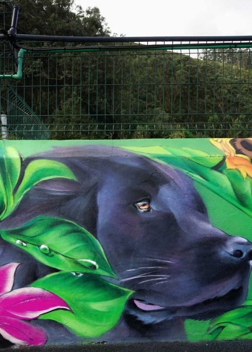 Murales personalizados para Hoteles