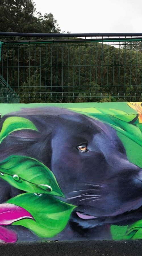 Vista lateral del acceso con mural vegetal, branding del negocio y retrato de perro negro