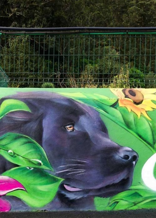 Murales personalizados para Hoteles