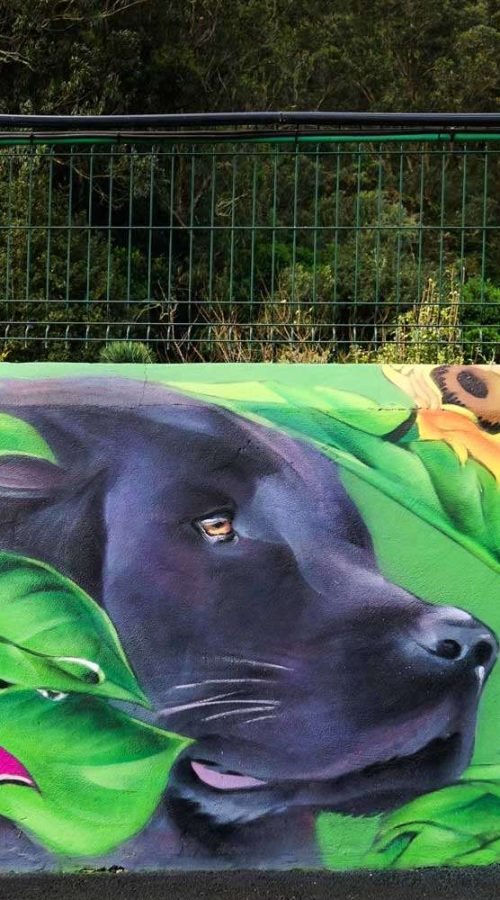 Detalle de mural con retrato de perro negro entre hojas verdes y flor rosa en Tenerife