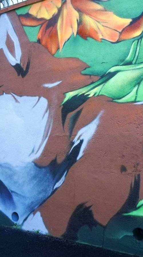 Detalle de mural exterior con zorro entre hojas tropicales para hotel de mascotas en Tenerife