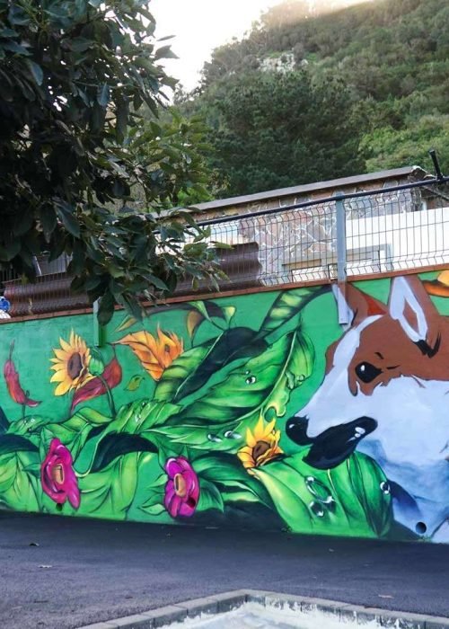 Graffiti con perro y vegetación en hotel de mascotas El Jardín de Tenerife