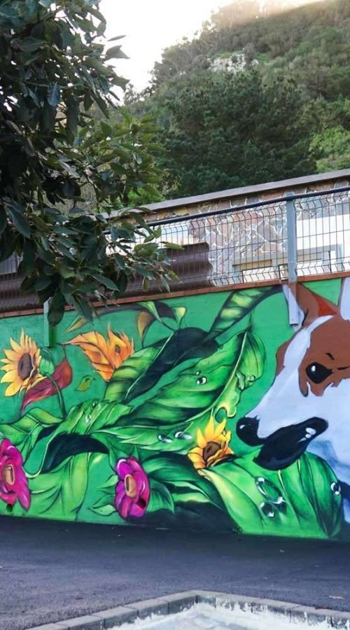 Mural panorámico para hotel de mascotas con vegetación tropical, flores y animales sobre muro exterior