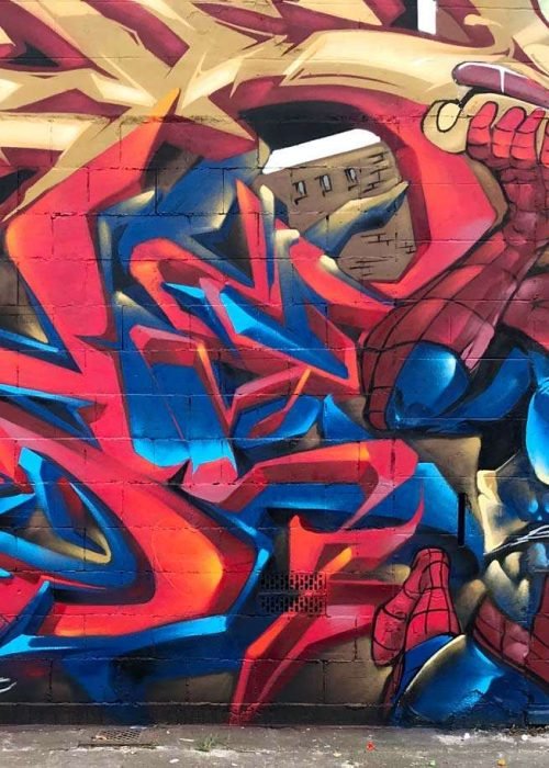 Mural Graffiti Belgica