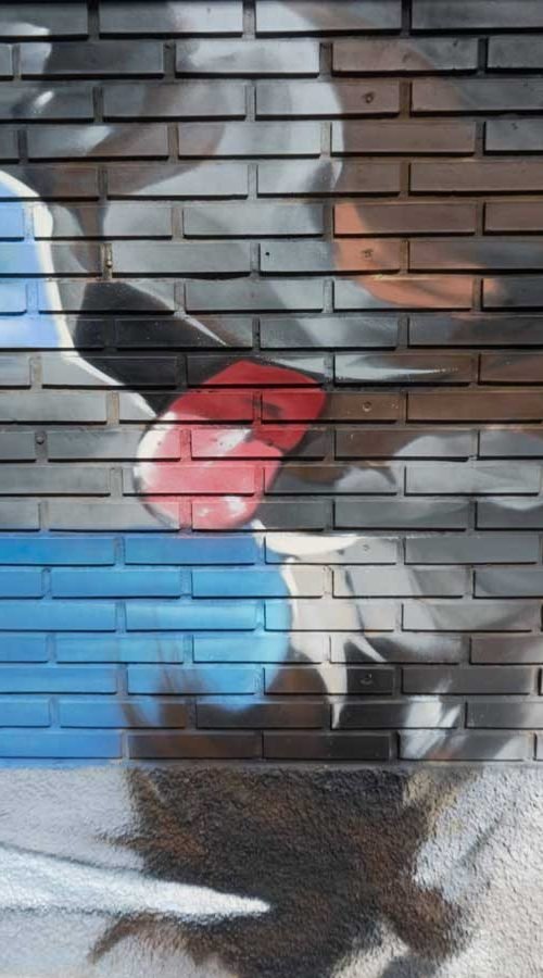 mural en clinica veterinaria