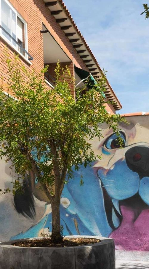 Mural con perros felices en fachada de clínica veterinaria en Toledo