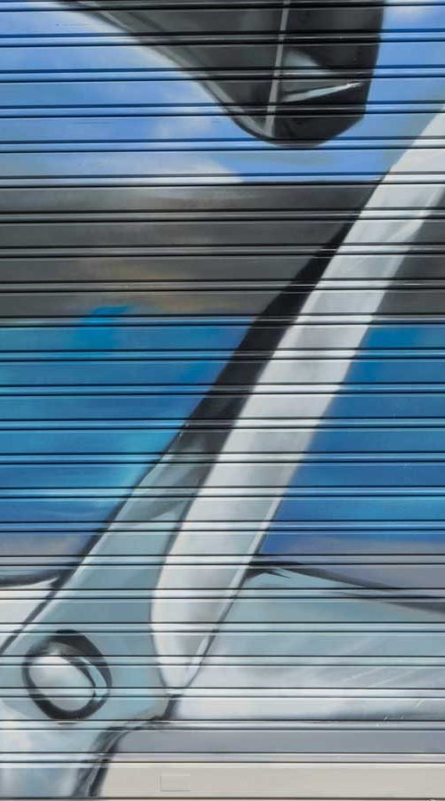 graffiti-mural-clinica-veterinaria-toledo-2-