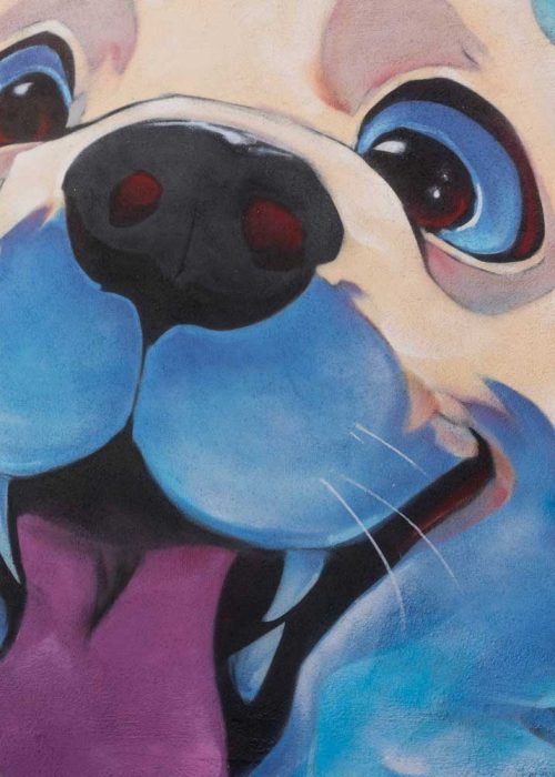 mural en clinica veterinaria