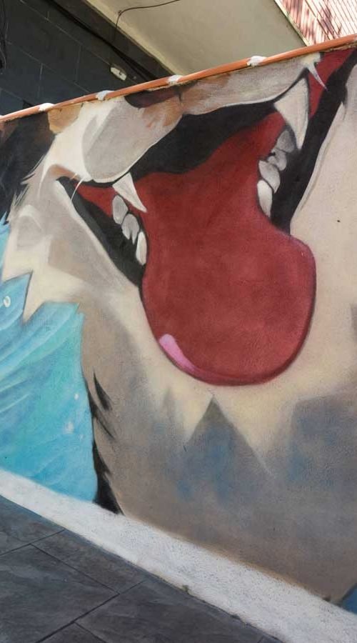 mural en clinica veterinaria