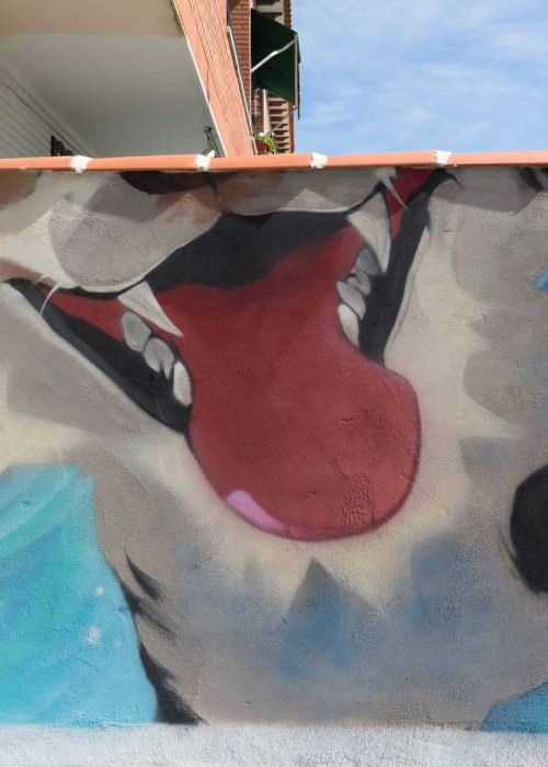 mural en clinica veterinaria