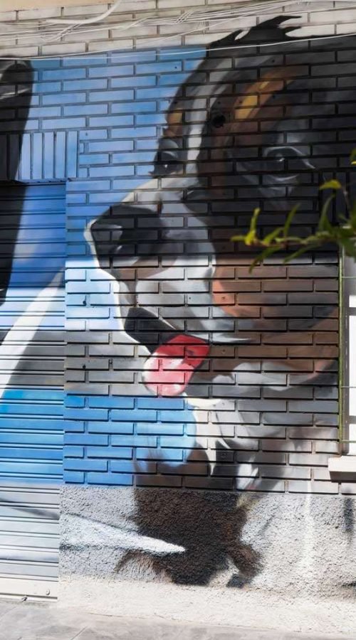 Mural con perros felices en fachada de clínica veterinaria en Toledo