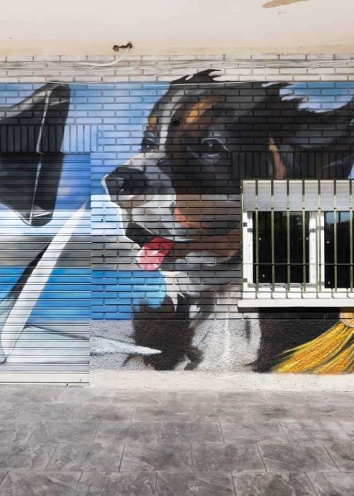 mural en clinica veterinaria