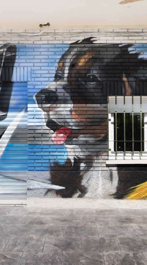 mural en clinica veterinaria