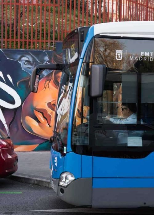 murales en colegios publicos y privados