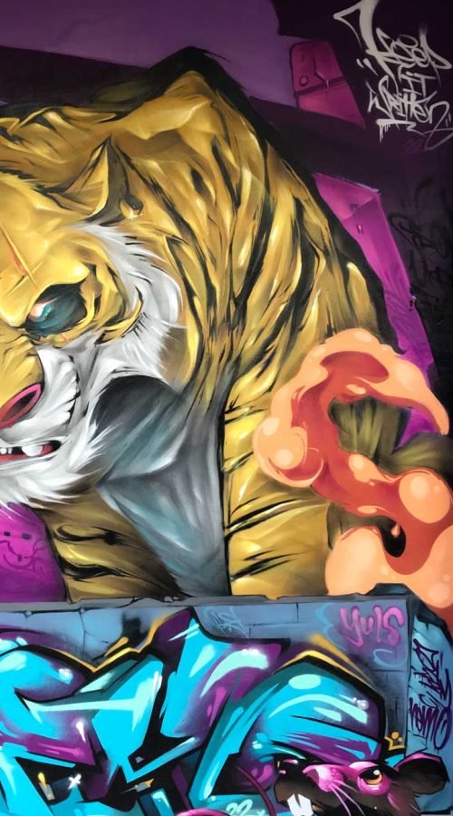 Mural Graffiti tigre
