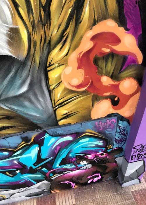 Mural Graffiti tigre