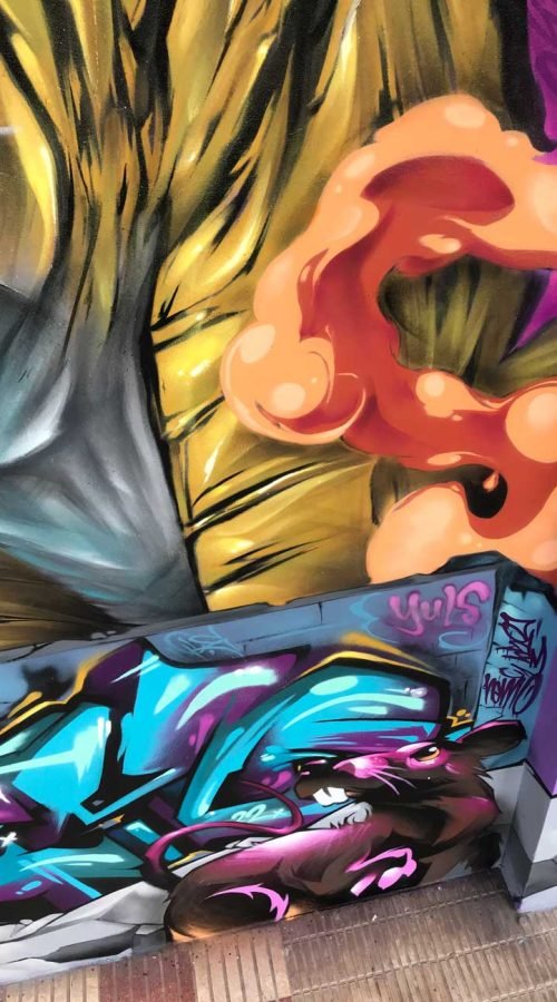 Mural Graffiti tigre