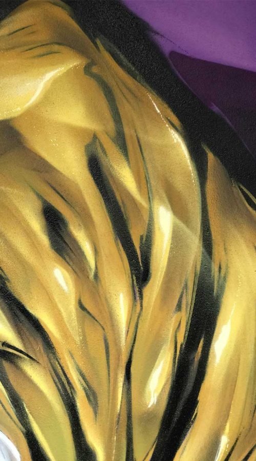 Mural Graffiti tigre