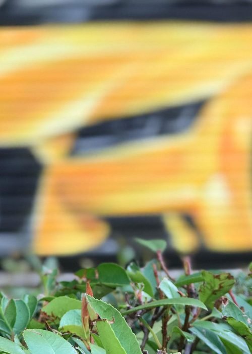 graffiti-persiana-cierre-hortaleza-virgen-cortijo-graffiti-deportivo-10-