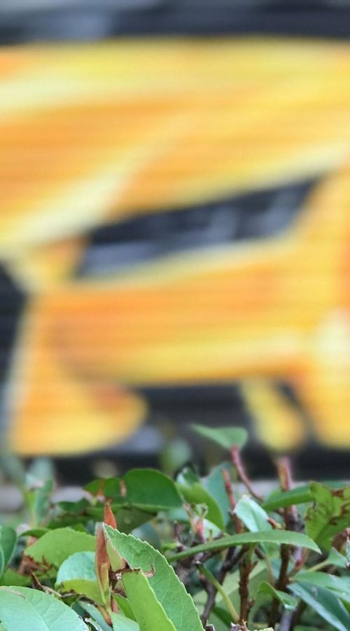 graffiti-persiana-cierre-hortaleza-virgen-cortijo-graffiti-deportivo-10-