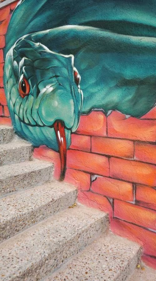 Mural de Akira Books con trampantojo, Nagini y pósters de Harry Potter